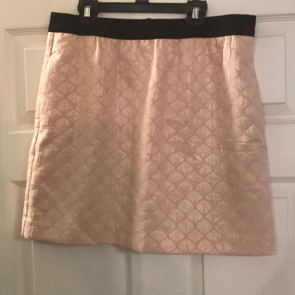 Ann Taylor LOFT Pink skirt with Black band
